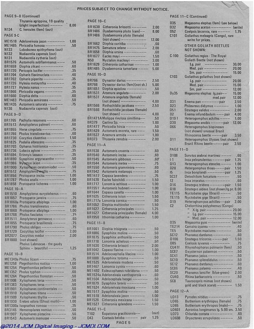 The Butterfly Company (NY) 18 page catalog 1976